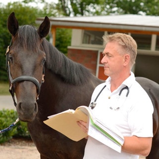 Kaufunter- suchung und Gutachten