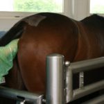 Rektale Untersuchung